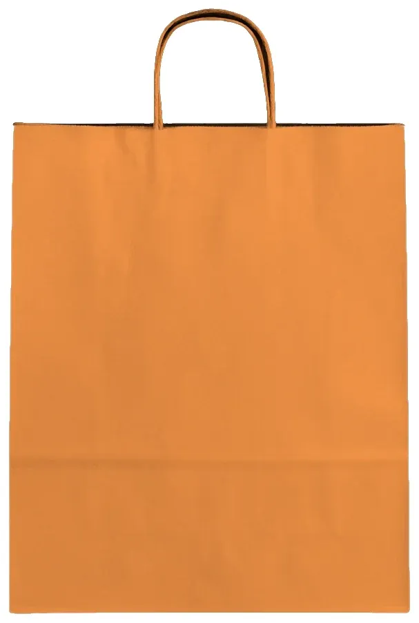 Bolsa de papel kraft con asa retorcida